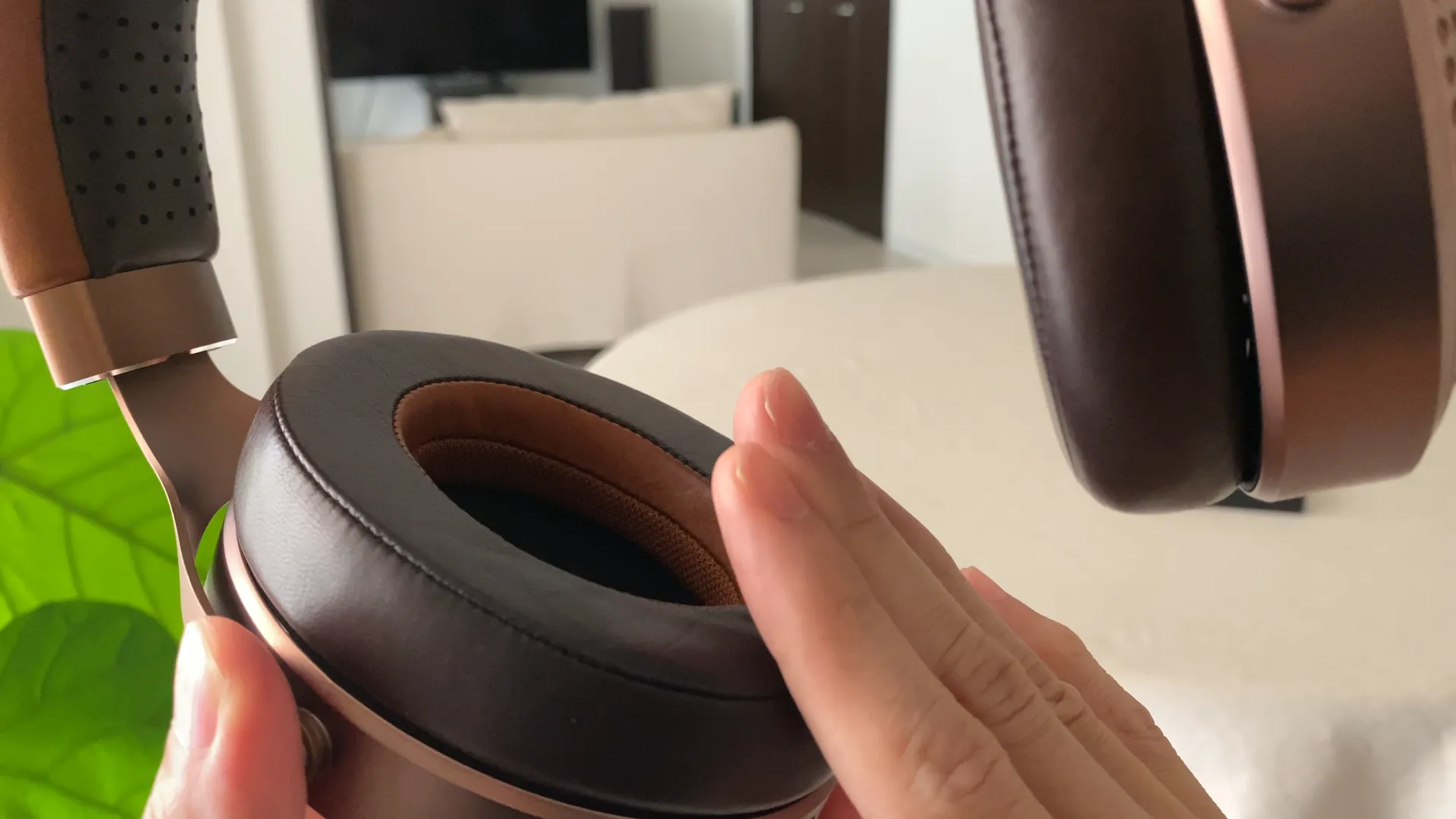 FOCAL STELLIA フルグレインレザーのイヤーパッド
