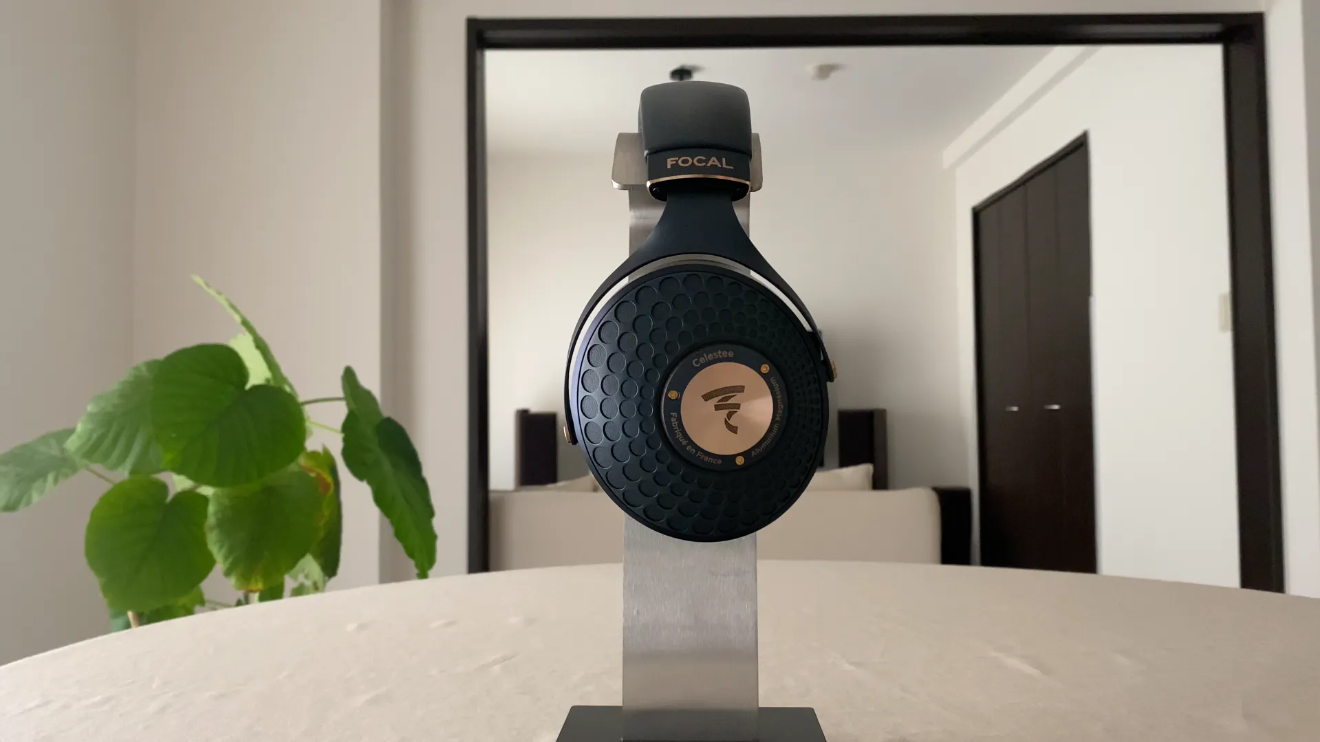 FOCAL Celestee