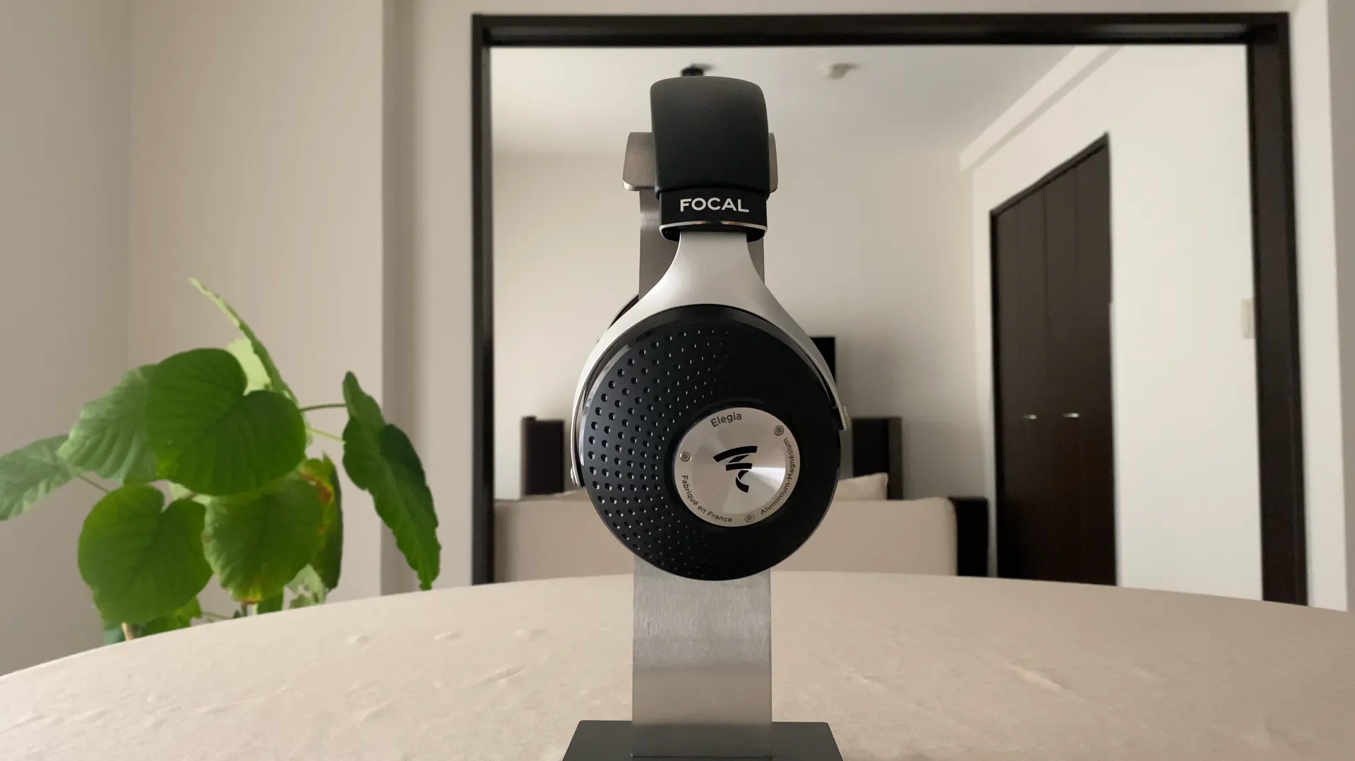 FOCAL ELEGIA