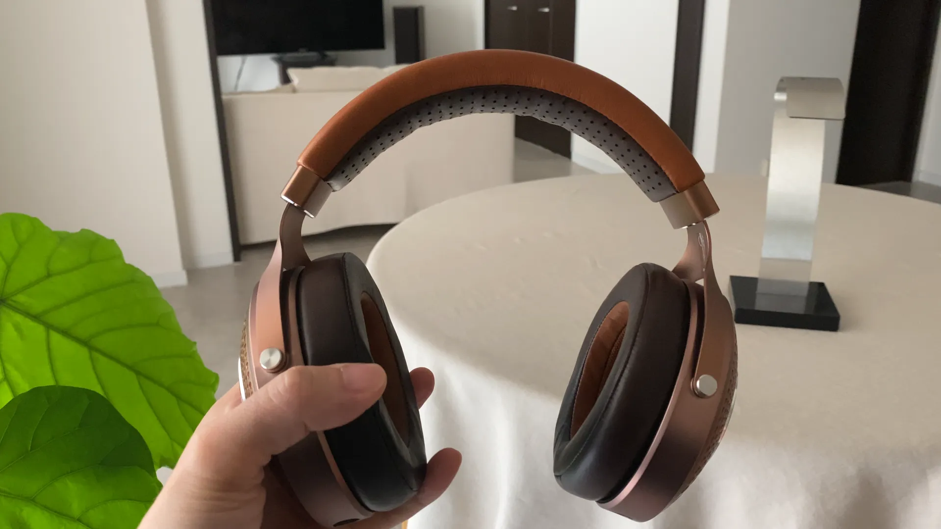 FOCAL STELLIA 側圧が丁度いい