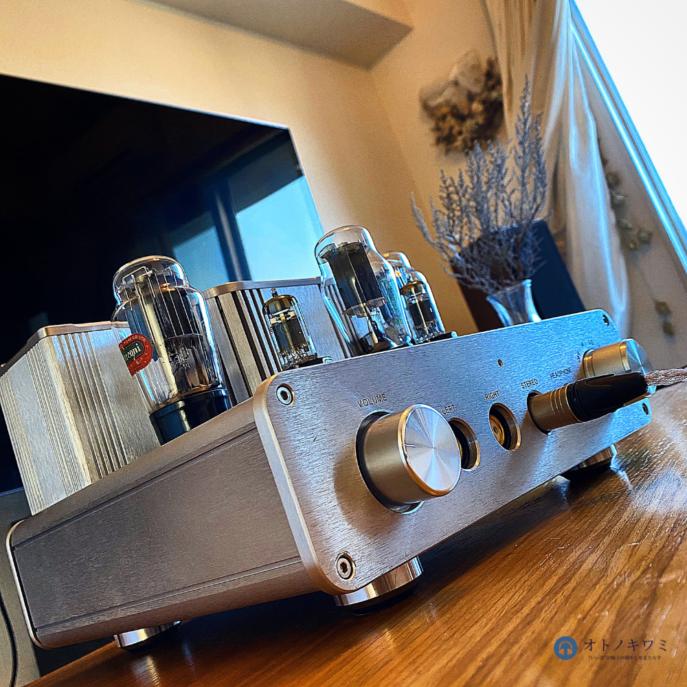 Woo Audio WA22