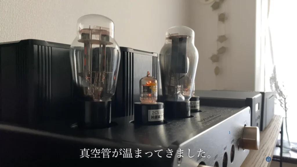 HIFIMAN SUSVARA UNVEILED ヘッドホンアンプに繋ぐ