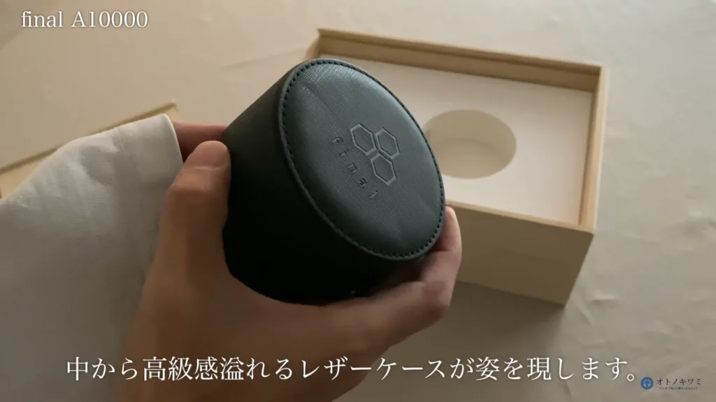 final A10000 イヤホンケース