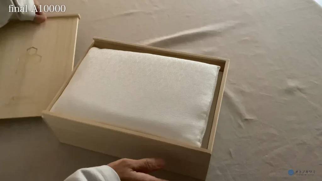 final A10000 座布団