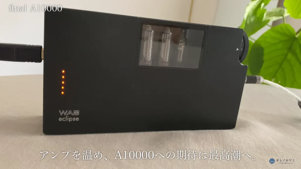 final A10000 Woo Audio WA8