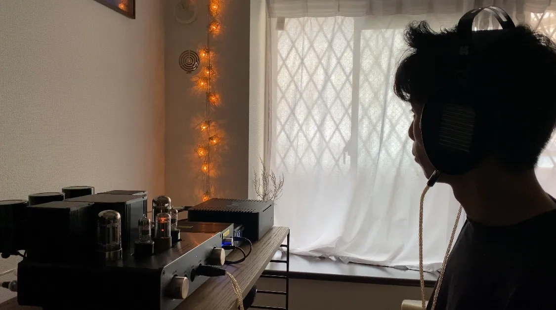 HIFIMAN ARYA UNVEILEDのデメリット