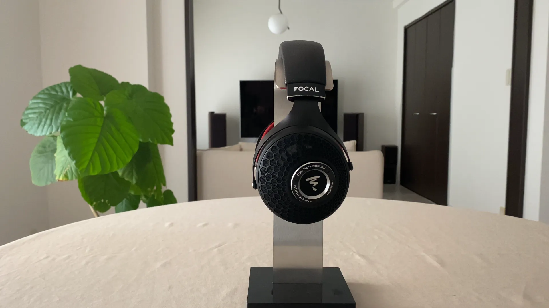 FOCAL CLEAR MG PRO