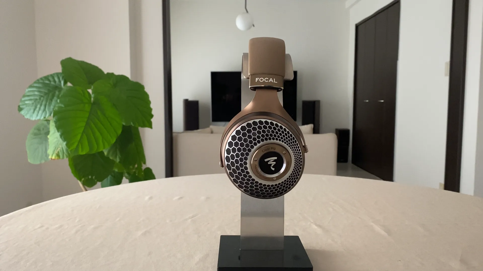 FOCAL CLEAR MG
