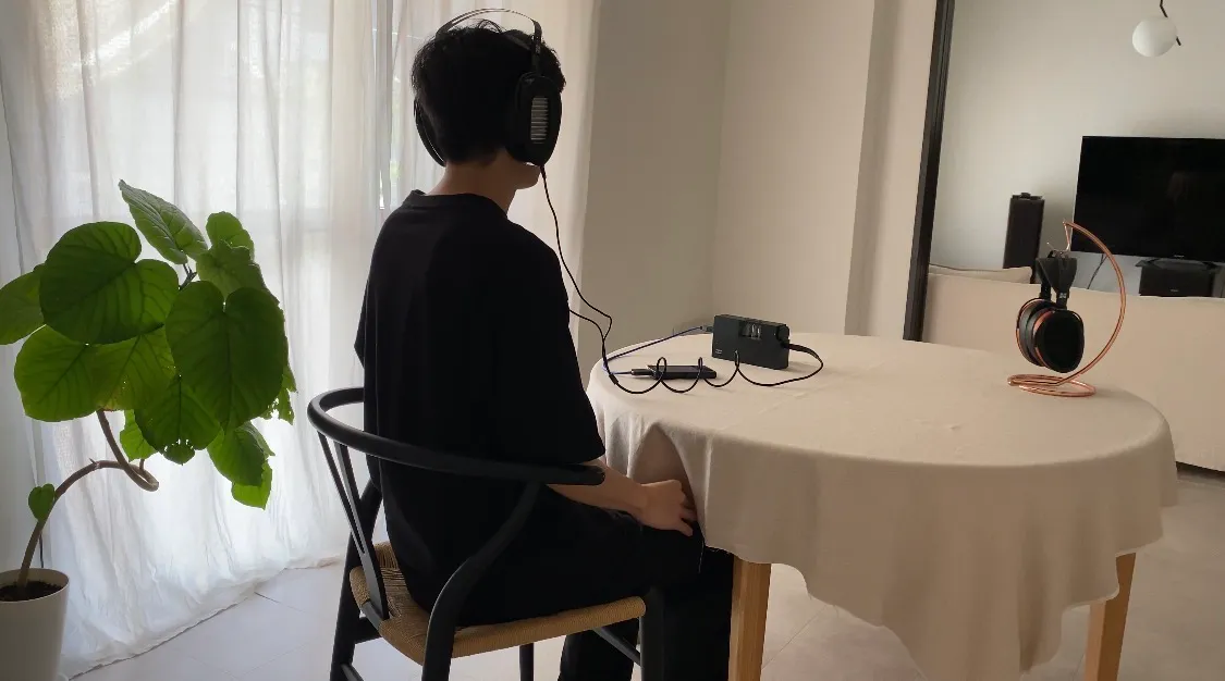 HIFIMAN ARYA UNVEILEDをレビュー!実際に聴いてみた感想(メリット)