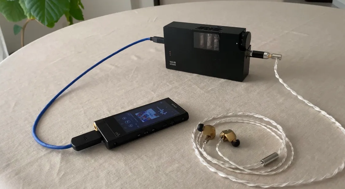 final A10000 Woo Audio WA8
