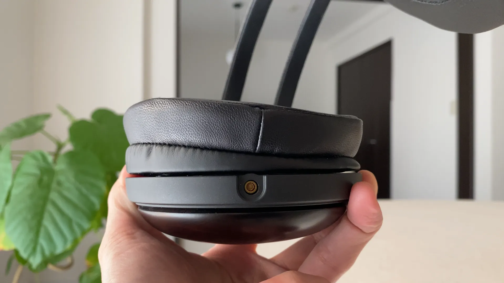 Audio-Technica ATH-AWKT イヤーパッドとカップの側面