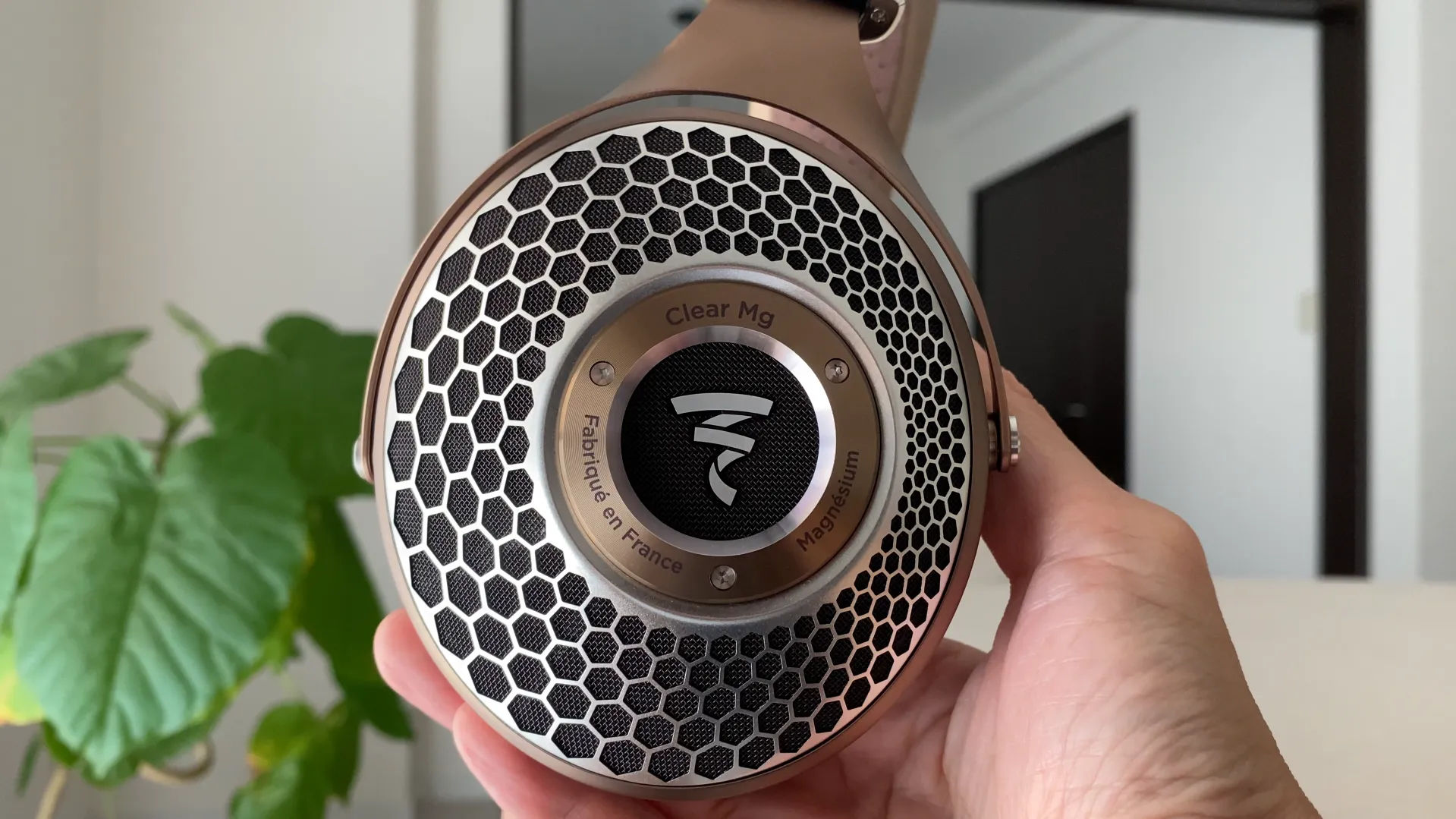FOCAL Clear MG ハニカムグリル