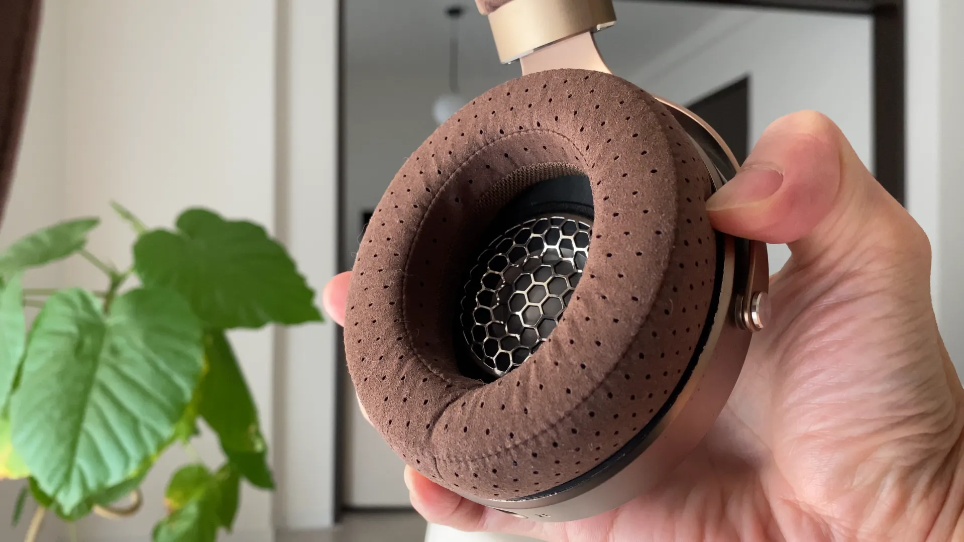 FOCAL CLEAR MG チェスナットの穴あきパッドと内側グリル