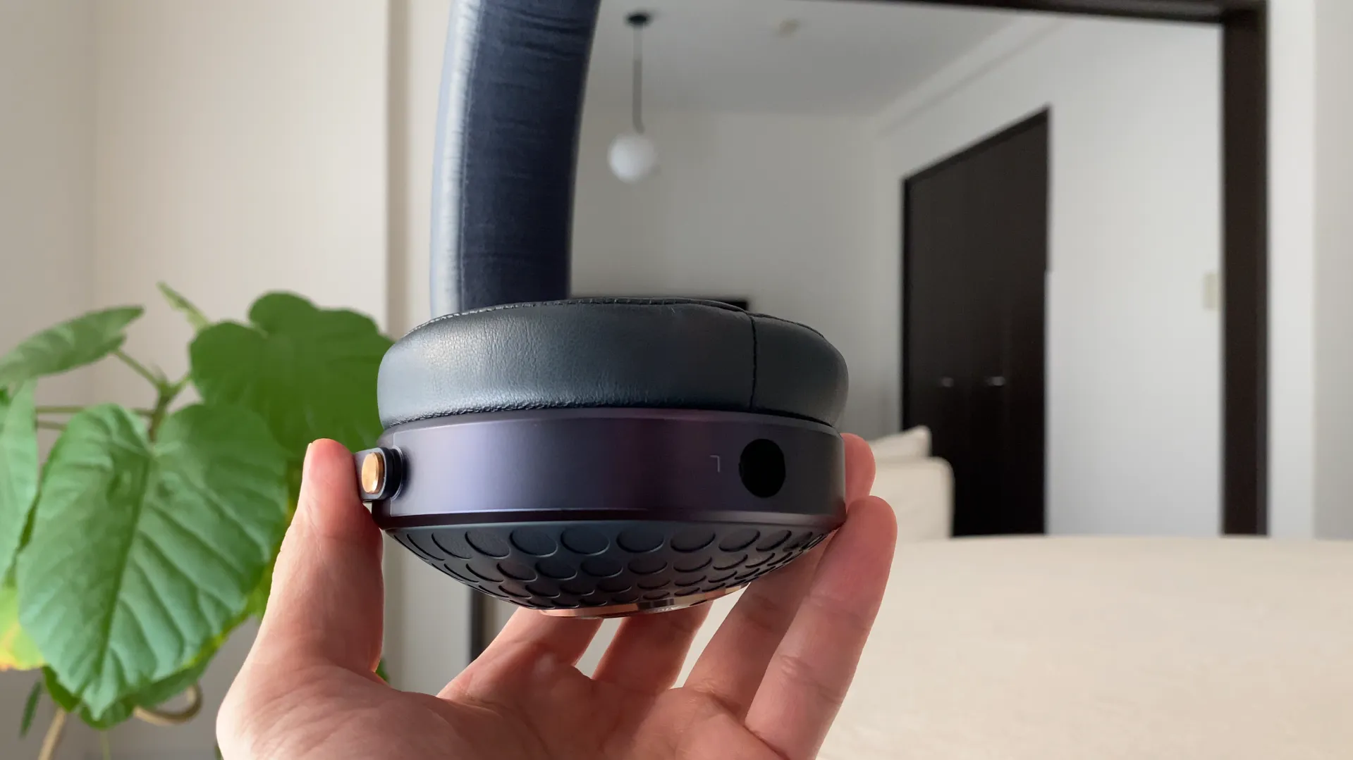 FOCAL Celestee カップと革製イヤーパッドの側面