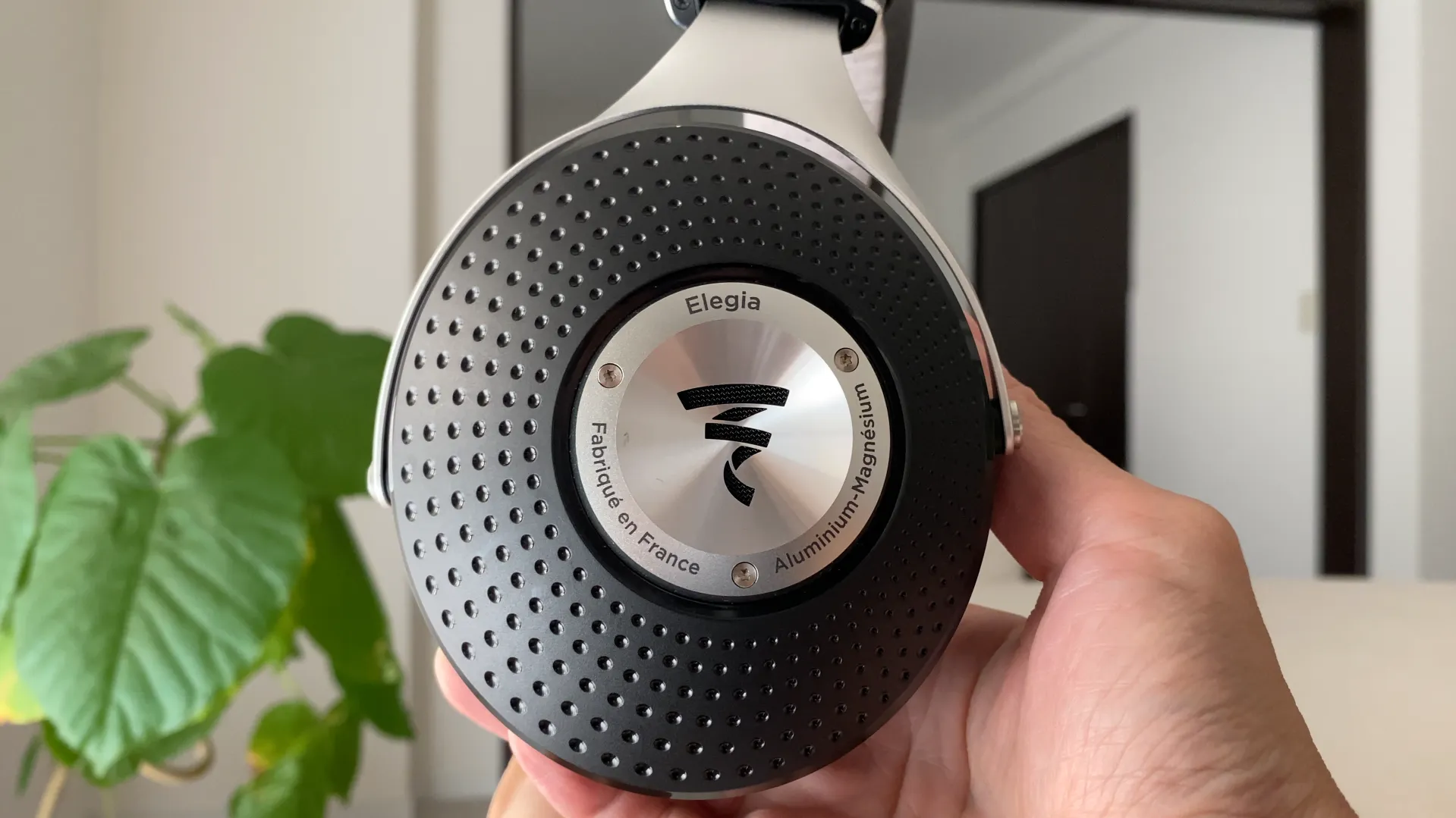 FOCAL Elegia カップ外側