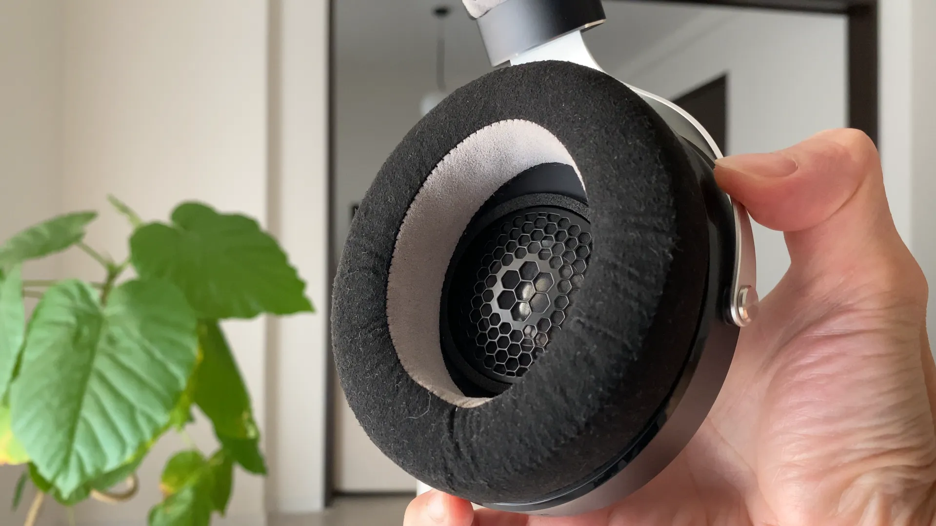 FOCAL ELEGIA マイクロファイバーパッドと内側グリル