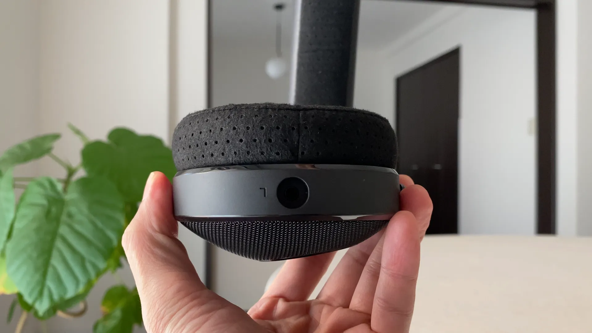 FOCAL ELEX 穴あきイヤーパッドとカップの側面
