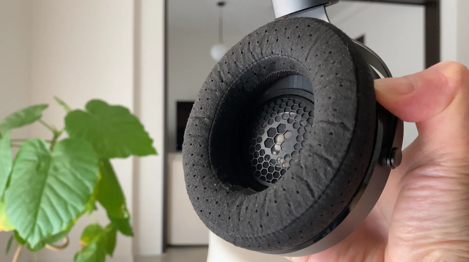 FOCAL ELEX 黒い穴あきパッドと内側グリル