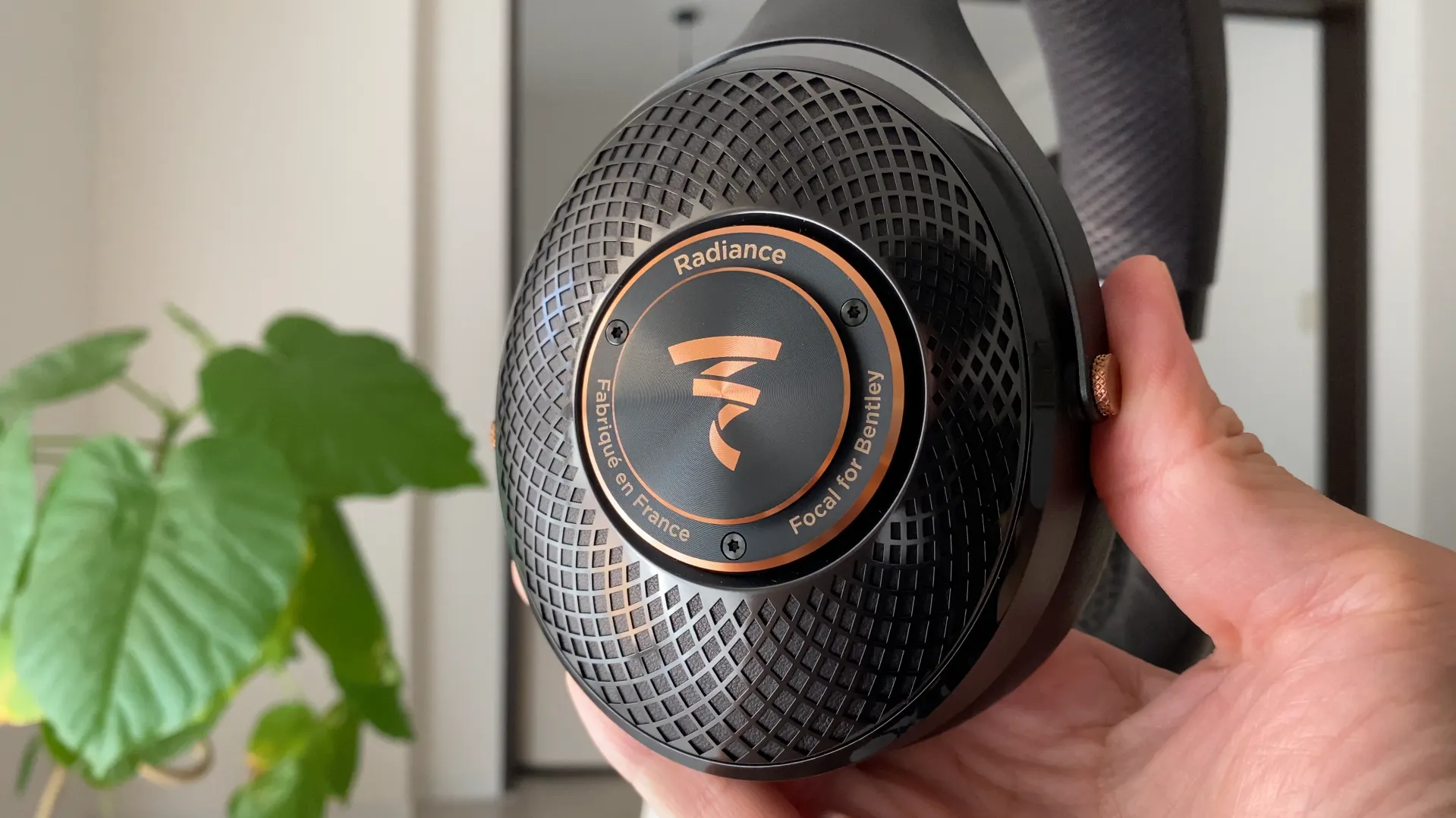 FOCAL Radiance ディテール