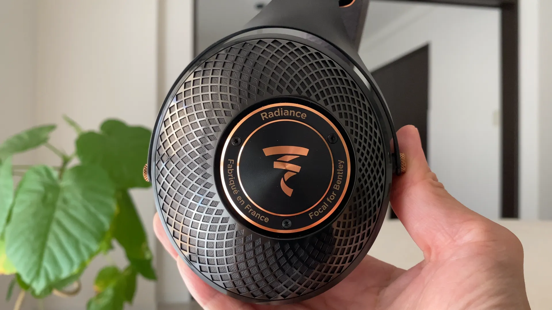 FOCAL Radiance ダイヤモンド模様のカップ