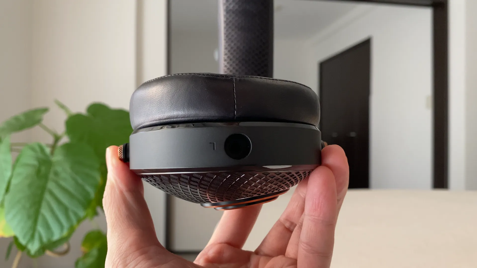 FOCAL Radiance カップとイヤーパッドの側面