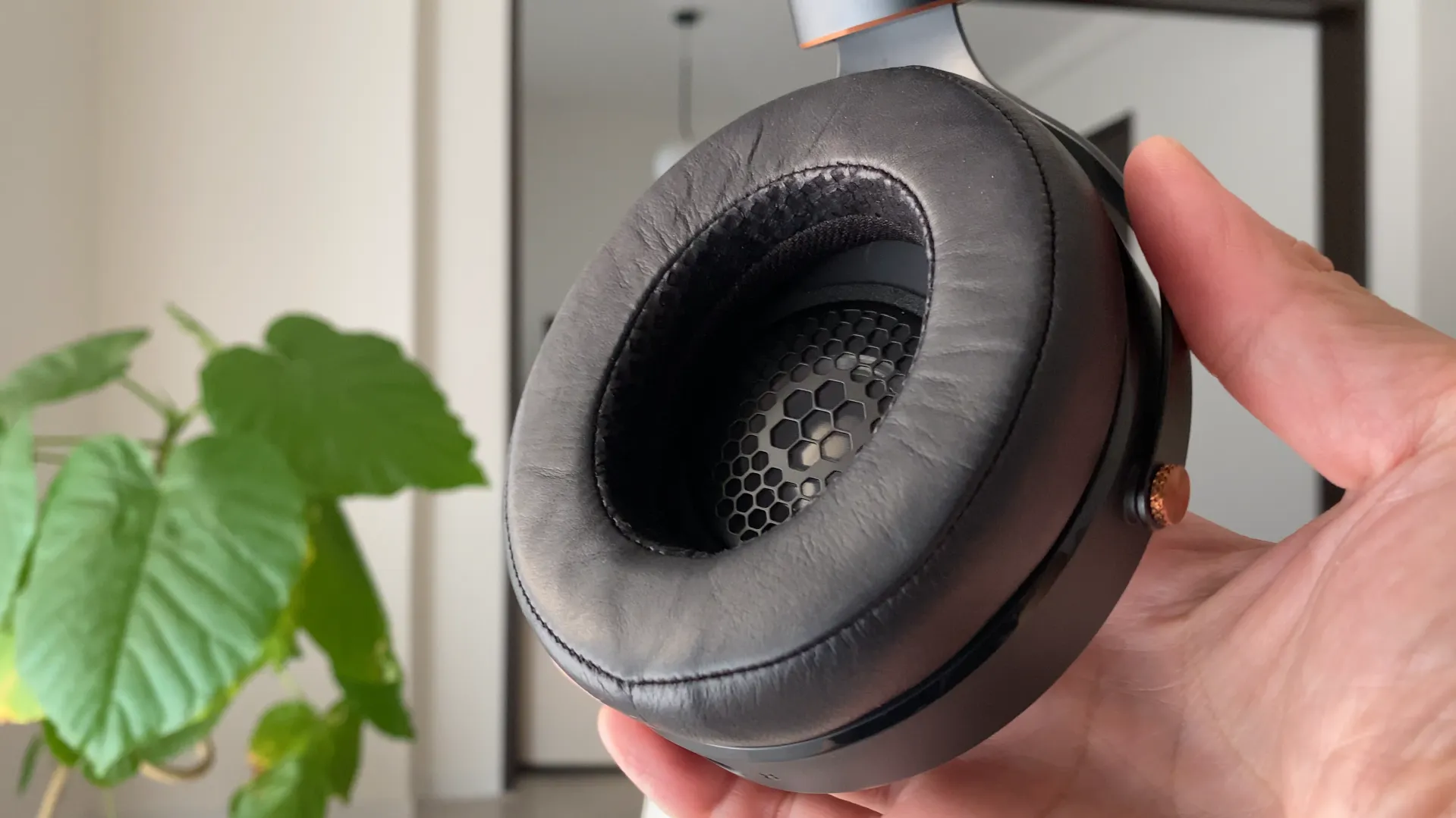 FOCAL Radiance ディテール
